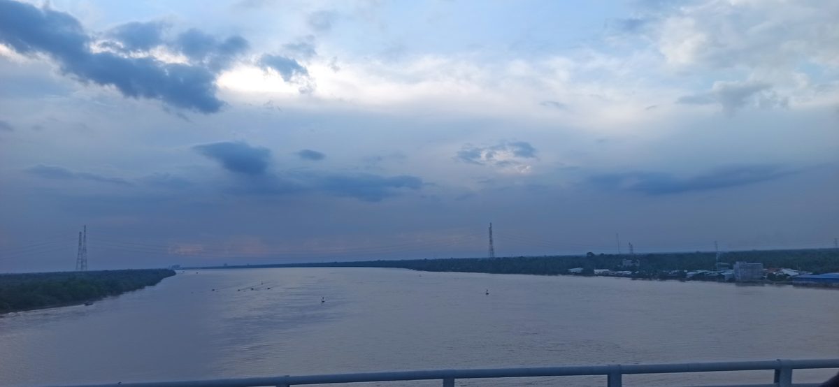 Cây Gội Nước Cổ Thụ Di Sản